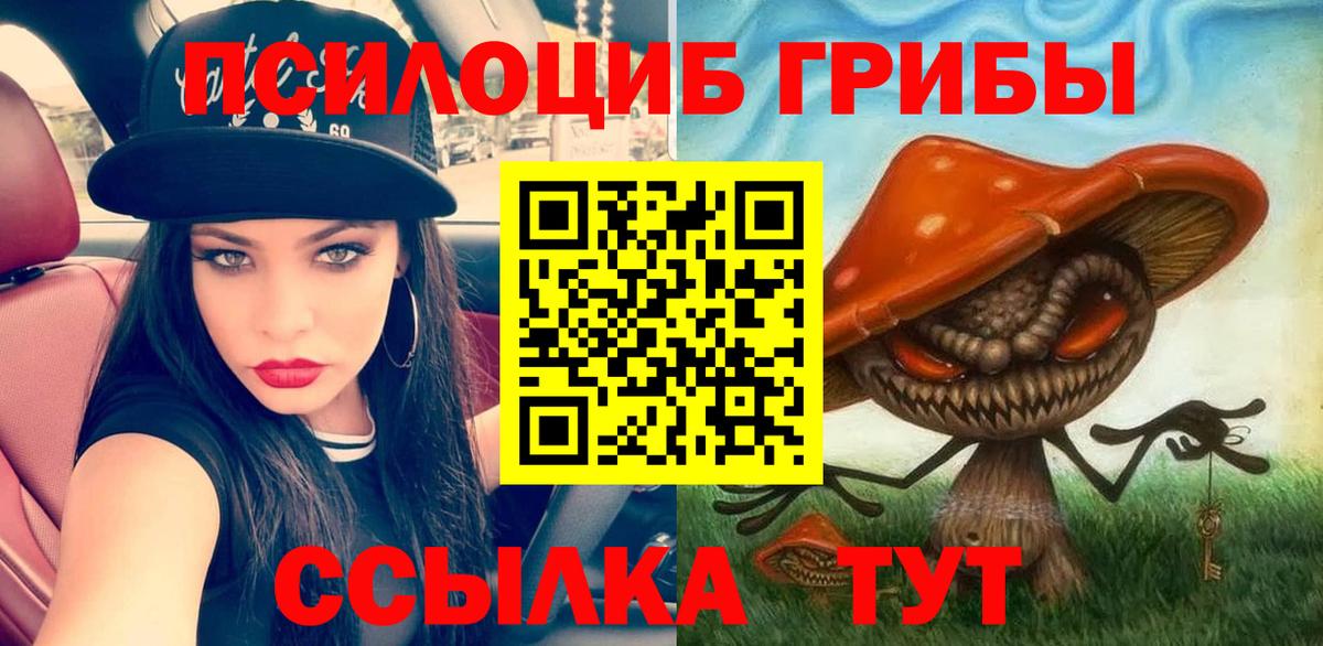 Псилоцибиновые грибы Psilocybine cubensis  Вход с VPN  Донской  Галлюциногенные грибы Magic Shrooms 