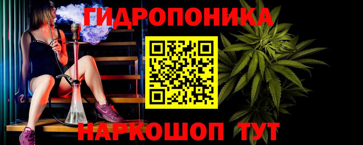 Конопля индика  Вход с VPN  Донской  Шишки марихуана тримм  Шишки марихуана план 